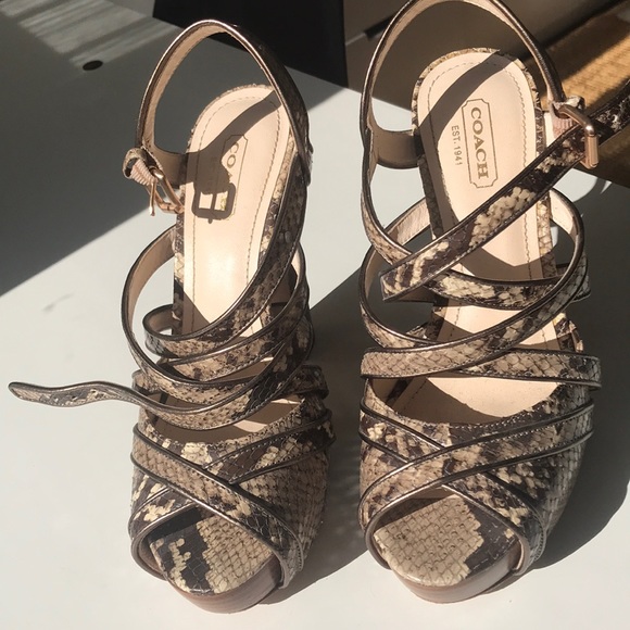 Coach Python Snakeskin Platform Heels - Picture 3 of 8